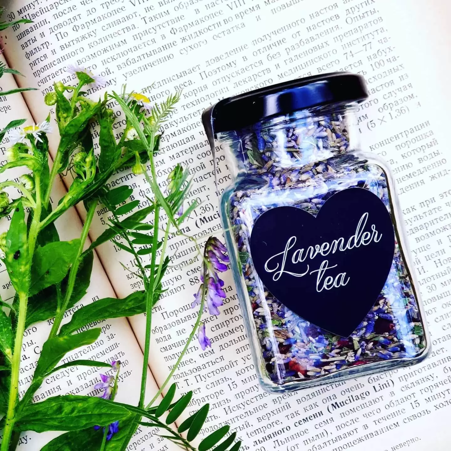 Лавандовый чай Lavender tea Sattvadil (банка) купить в магазине Роса-Фуд